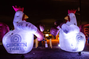 ChickenFight-14